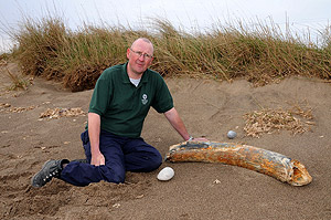 Web-14.-Mammoths-etc.-1