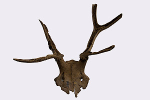 Web-24.-Star-Carr-1